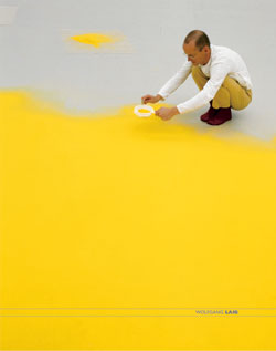 Wolfgang Laib