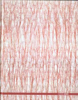Ghada Amer