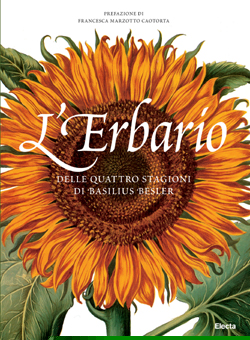 L’erbario