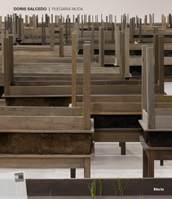 Doris Salcedo. Plegaria Muda