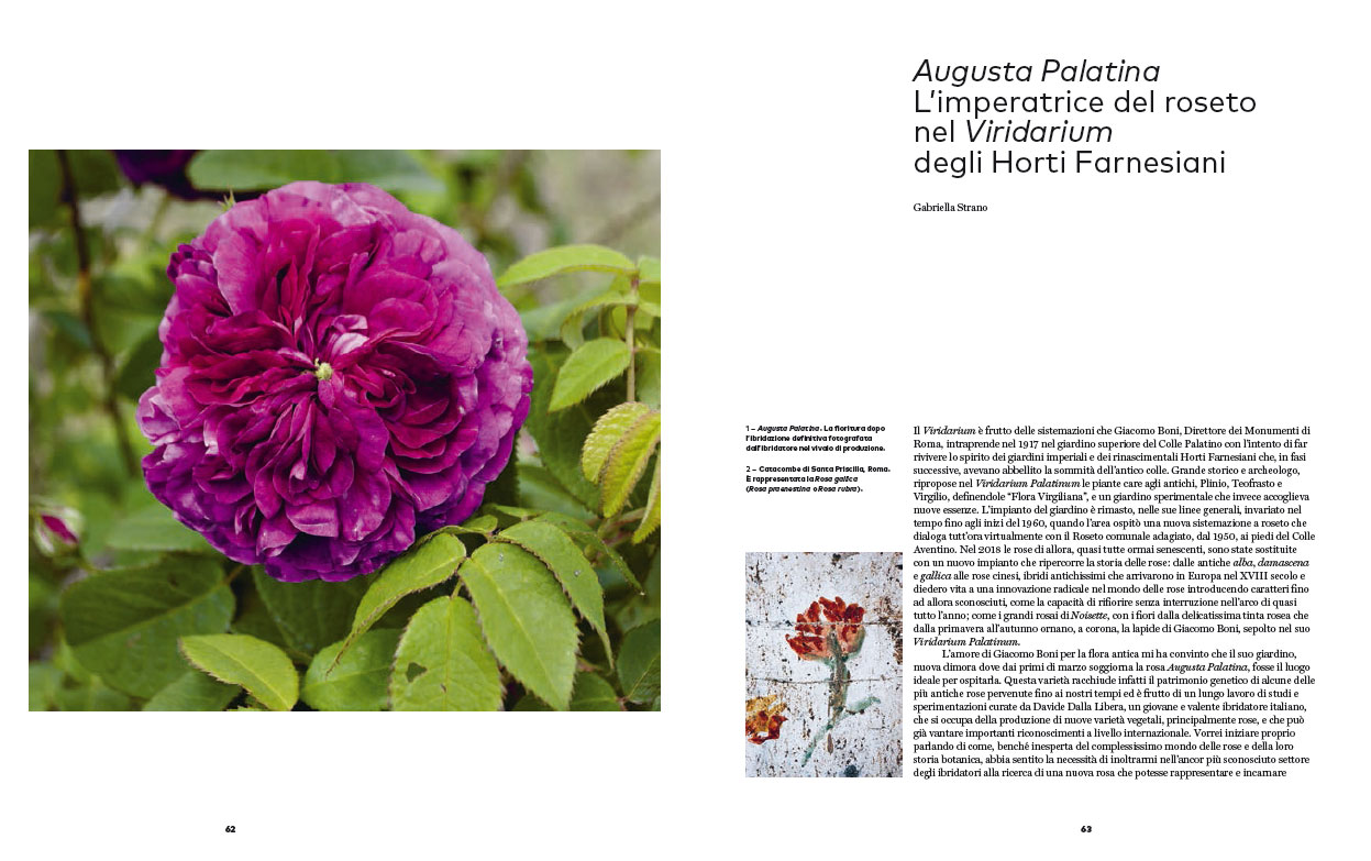 Augusta Palatina
