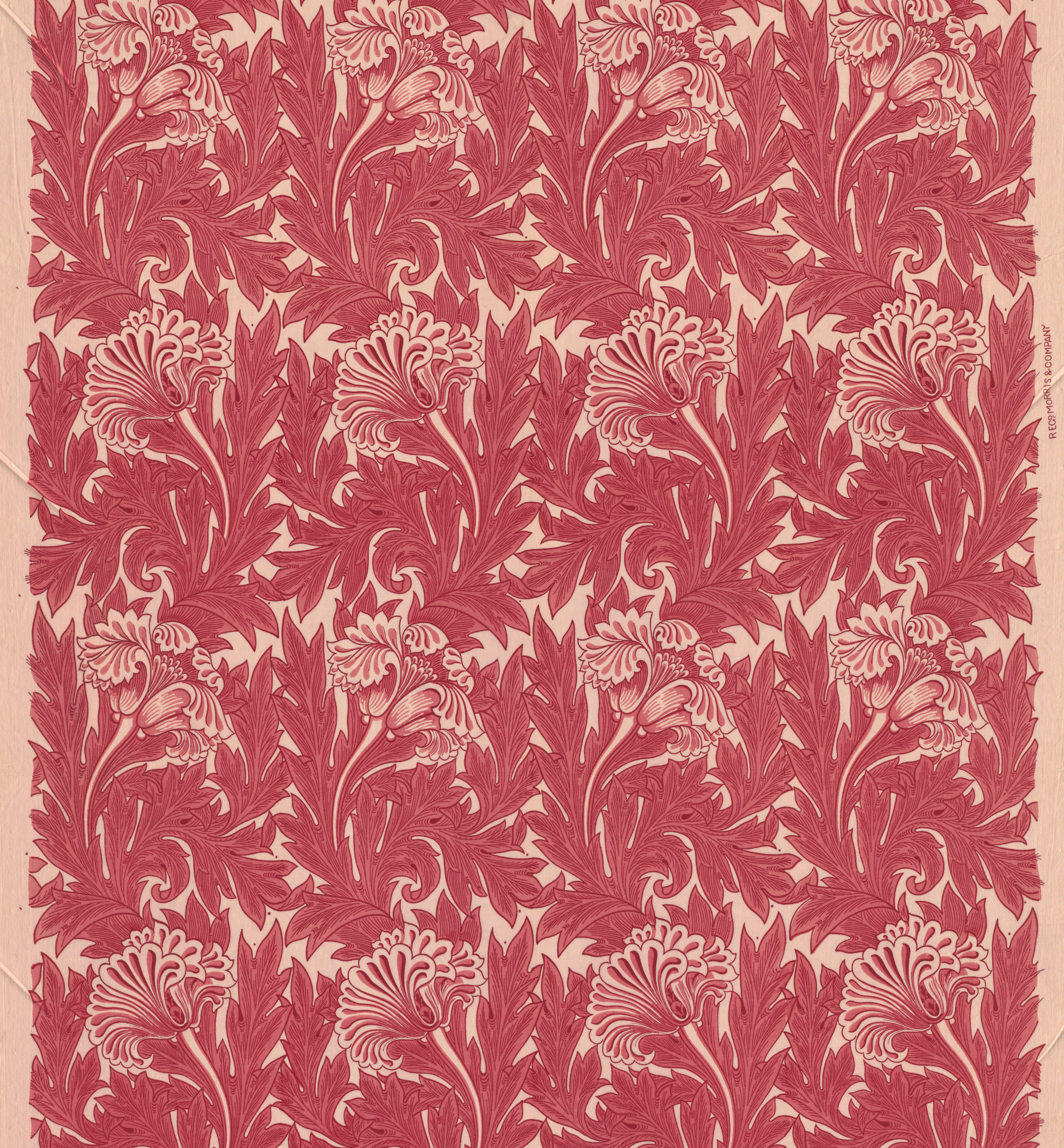 William Morris TULIP, COTTON William Morris Gallery, London Borough of Waltham Forest