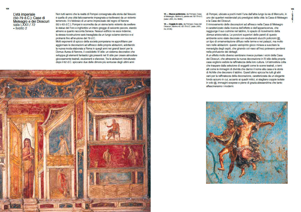 Museo Archeologico Nazionale di Napoli. La guida
