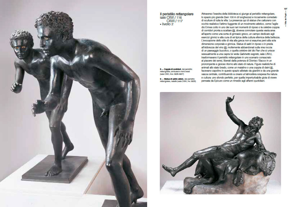 Museo Archeologico Nazionale di Napoli. La guida