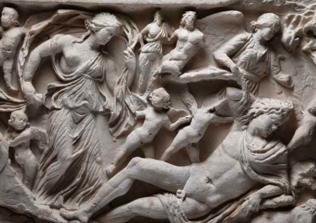 Museo Archeologico Nazionale di Napoli. La guida